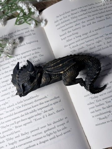 3d Printed Sleeping Dragon Bookshelf Decoration